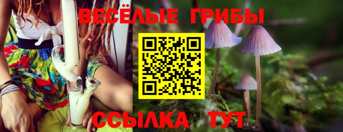 Белово  Псилоцибиновые грибы прущие грибы  Вход с VPN  Галлюциногенные грибы прущие грибы 