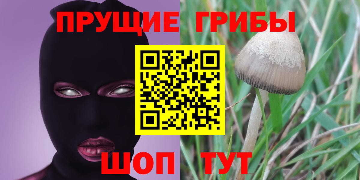Псилоцибиновые грибы ЛСД Белово